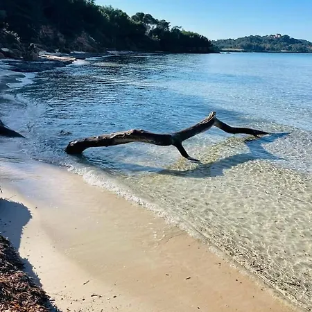 Au Paradis * Saint-Raphaël