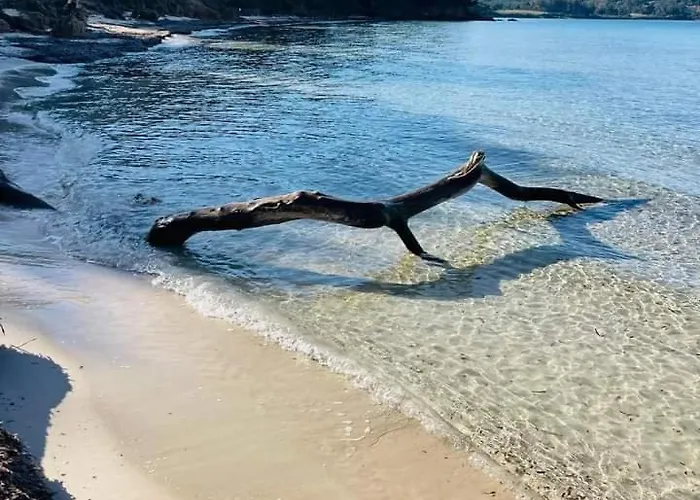 Au Paradis * Saint-Raphaël